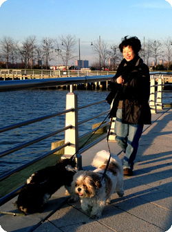 Jenn walking shih tzu in Chelsea